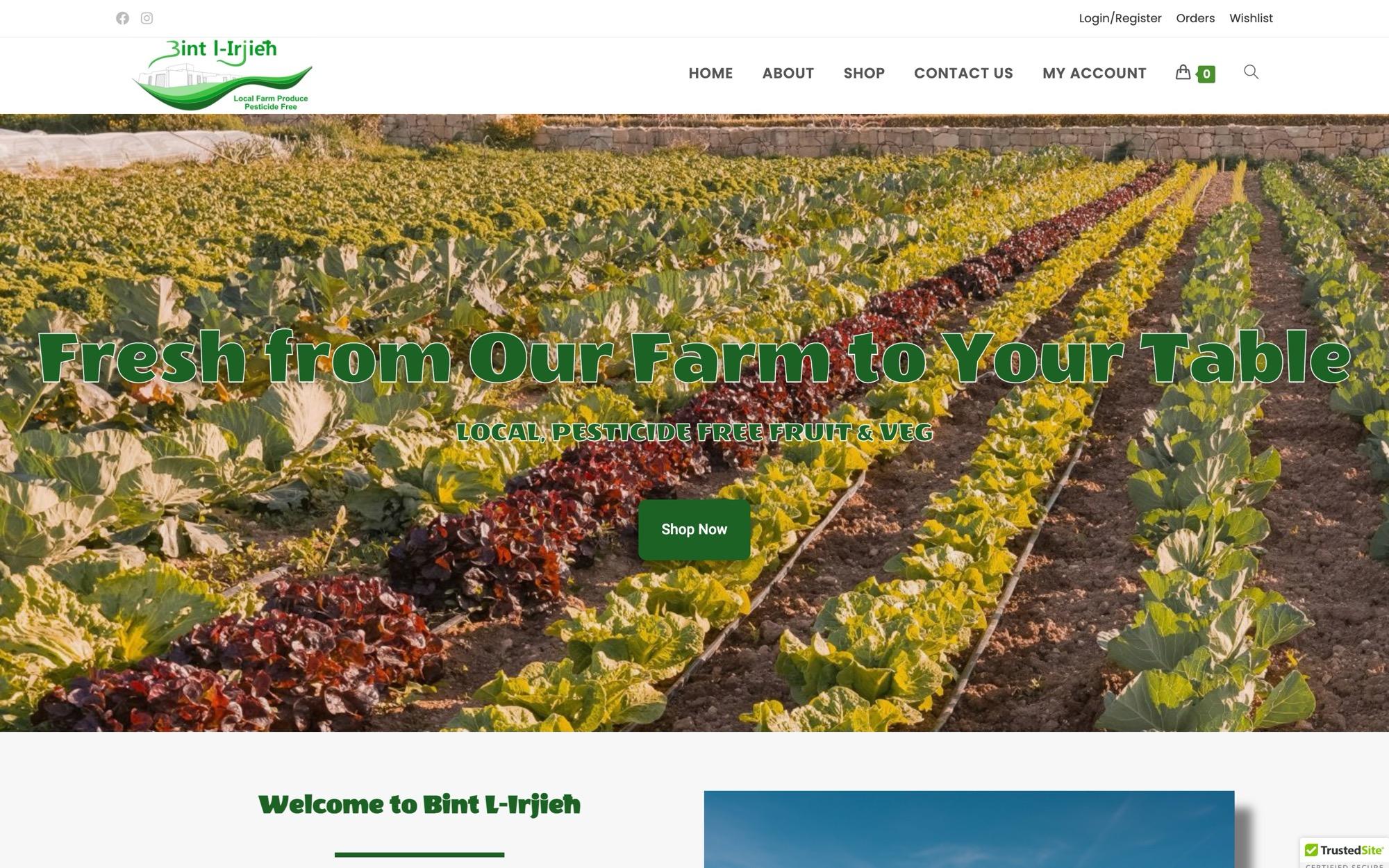 Bint L-Irjieh website
